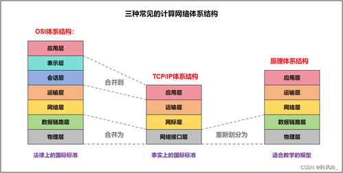 計算機網(wǎng)絡(luò)導(dǎo)論 探索網(wǎng)絡(luò)世界的奧秘與軟件技術(shù)開發(fā)