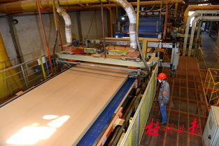 廣西三威林產工業 以創新研發驅動產業升級，生物飼料產品引領綠色新賽道