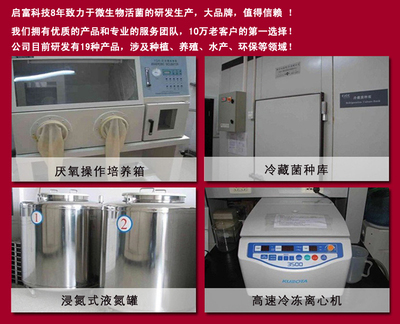 豆渣發(fā)酵制作優(yōu)質(zhì)微生物飼料的實用方法