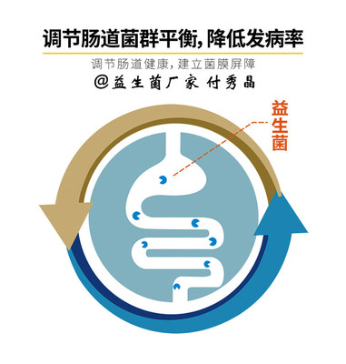 奶牛消化問題科學應對 生物飼料添加劑研發與高效應用