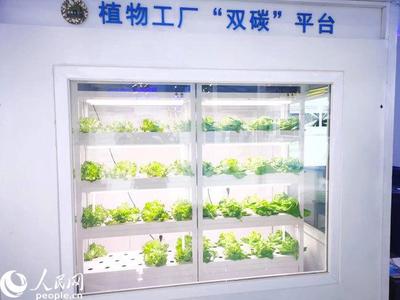 財經觀察:著重激發創新源頭活力 科技讓生活更精彩